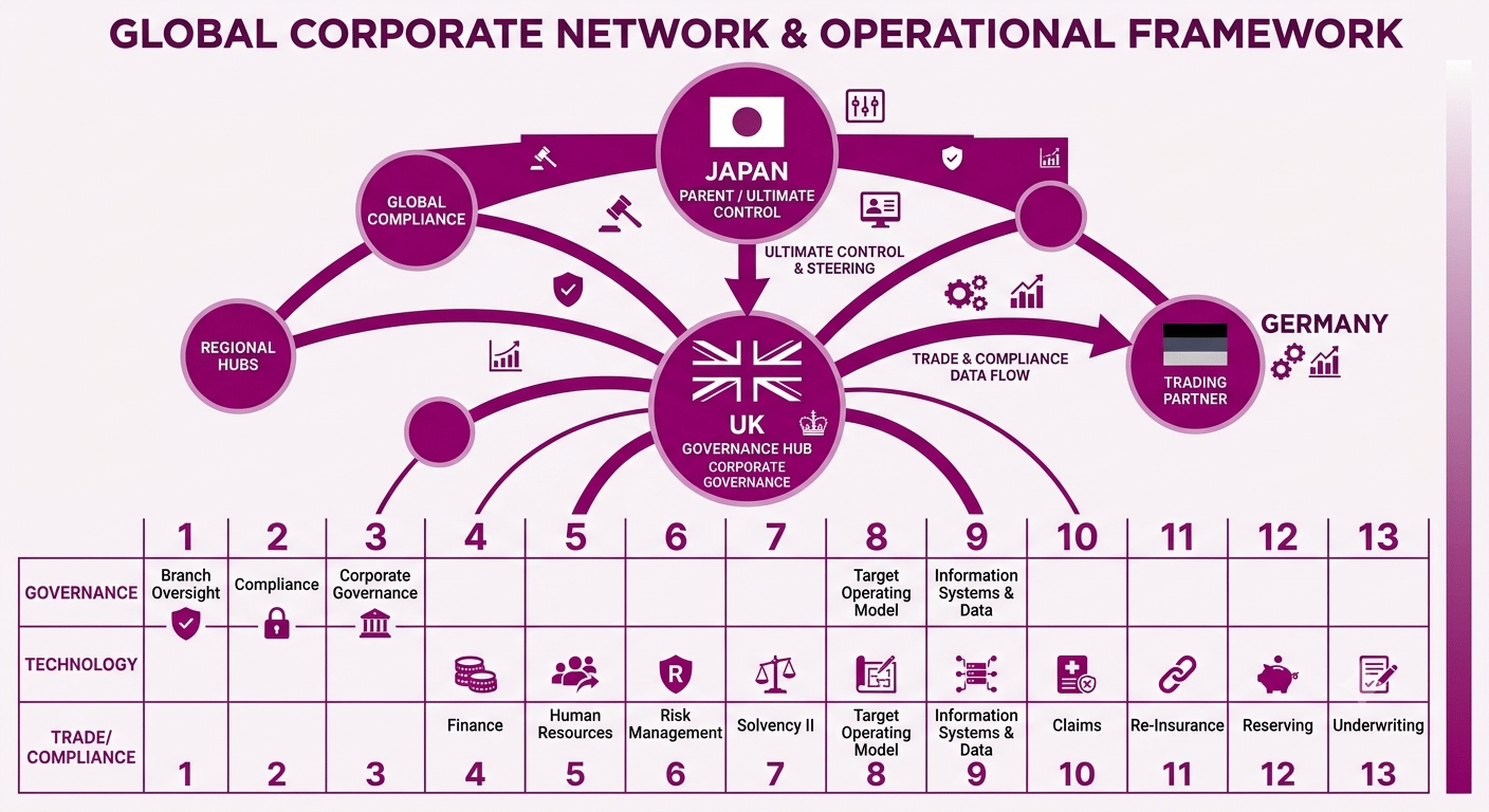 CAse Study-ESC-GlobalCorp&Ops Framework Infographic showing global reach and 13 work streams of Remediation programme